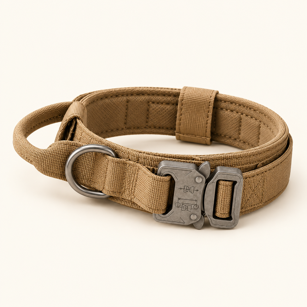 Trotzu Tactical Dog Collar in beige